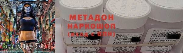 индика Арсеньев