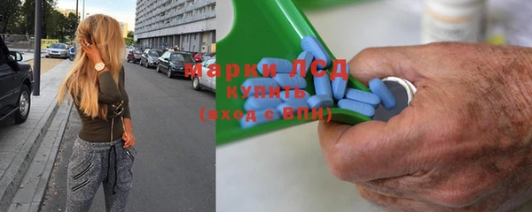 индика Арсеньев