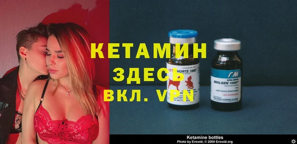 индика Арсеньев