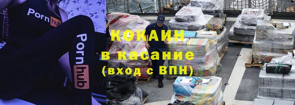индика Арсеньев