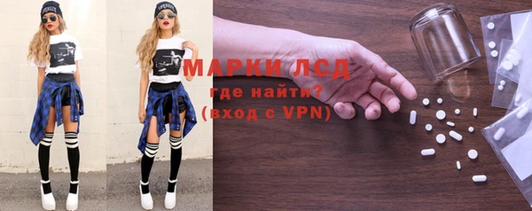 индика Арсеньев